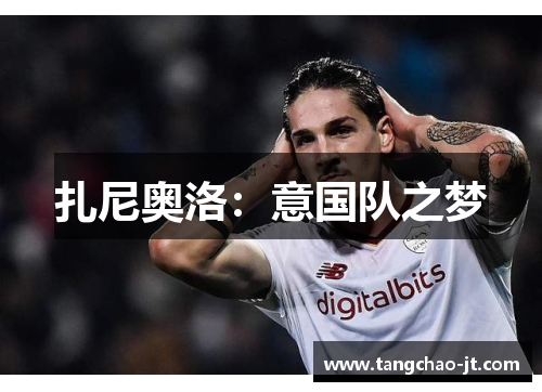 扎尼奥洛：意国队之梦
